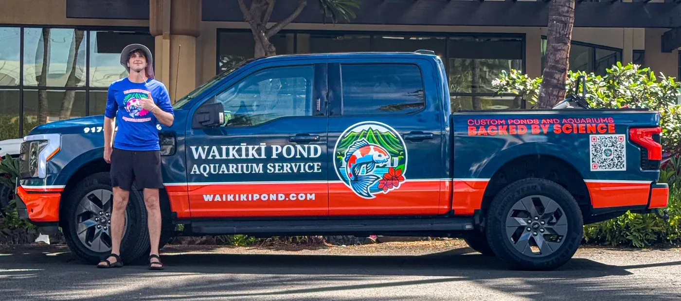 WAIKIKI POND AQUARIUM SERVICE: A Brand That Rides on the Truck